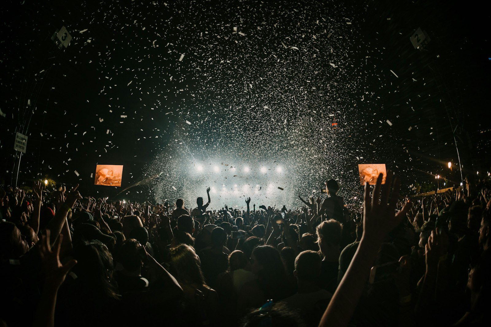 Crowd at an outdoor festival